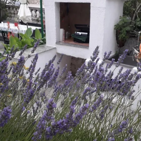 Marjetka Charming Daire